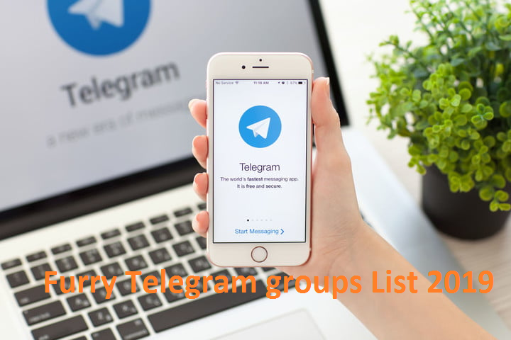 100+ Best Furry telegram groups List In 2020 | GeniusGeeky