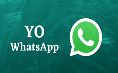 YoWhatsApp