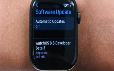 WatchOS 8.6 Beta 3